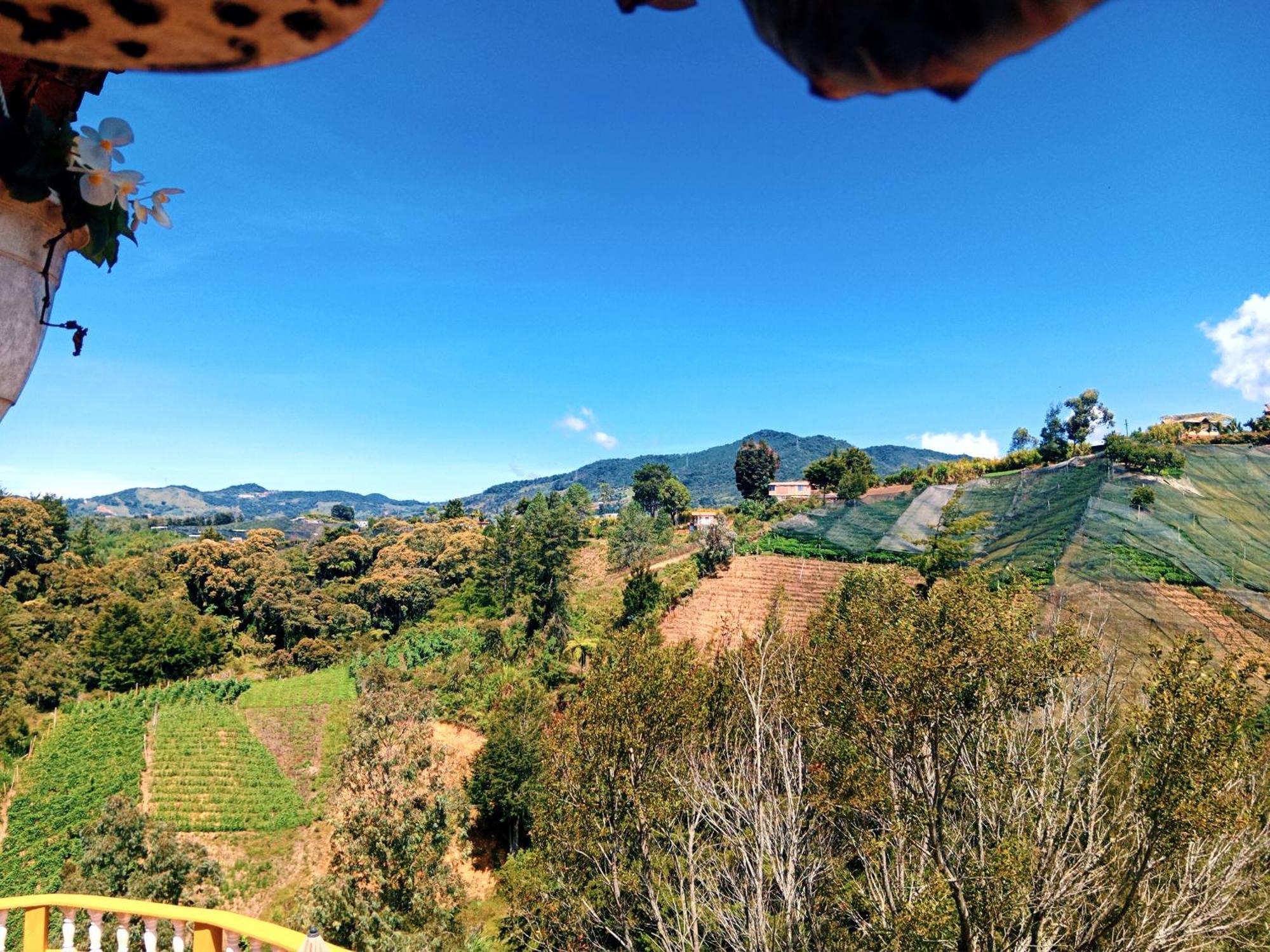 Vista Hermosa Eco Hostal Carmen de Viboral Екстериор снимка
